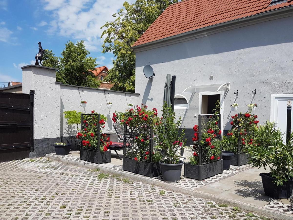 Pferdepension Jaeger Маркранштедт Экстерьер фото
